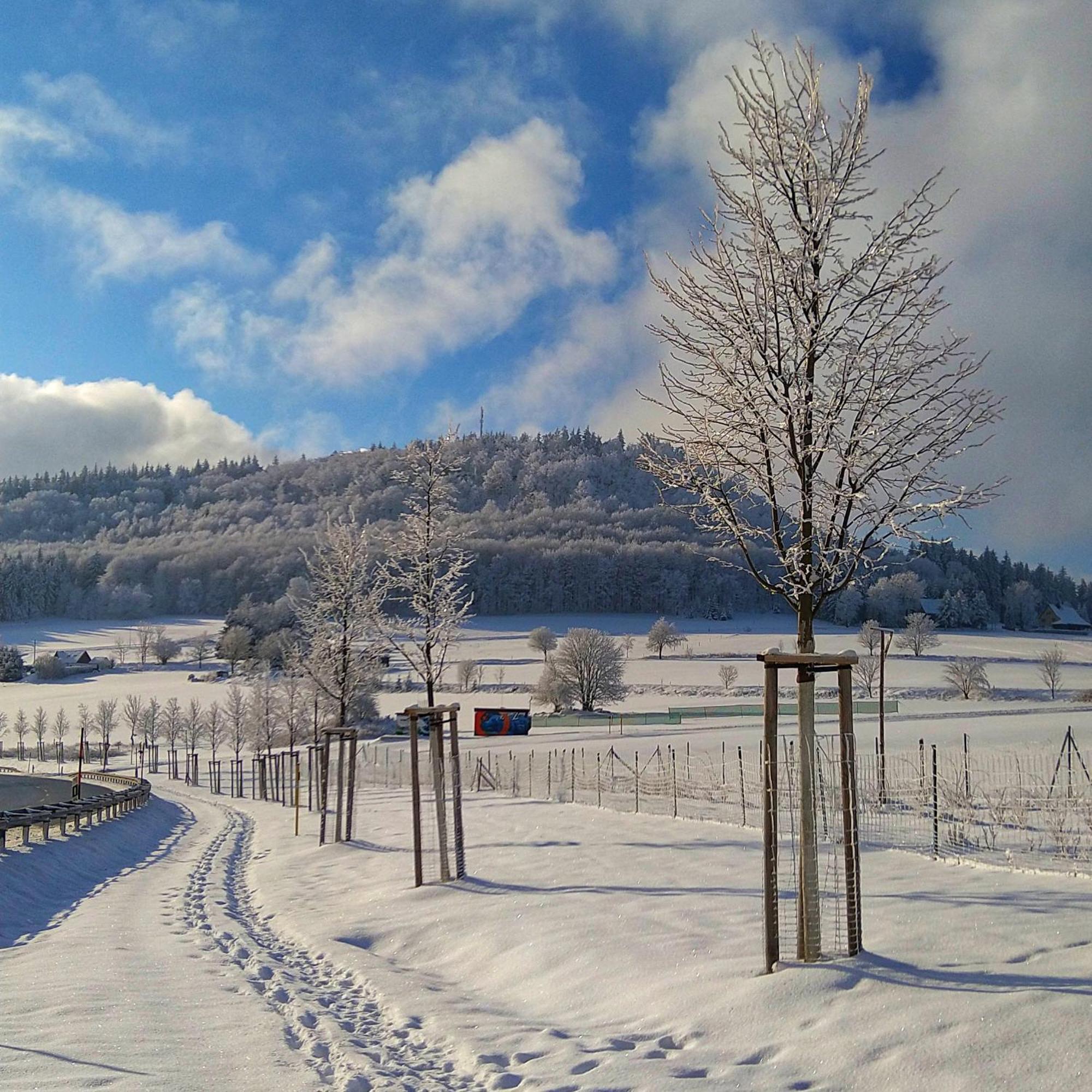 Kleine Fewo Peter In Baerenstein Extérieur photo